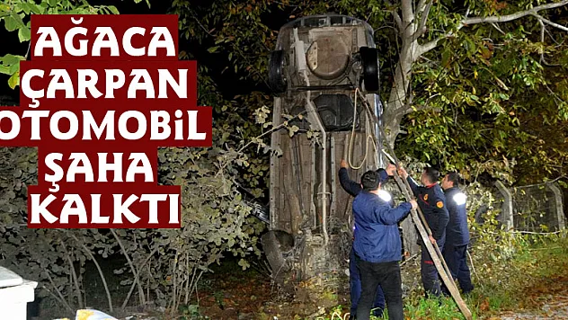 Ağaca çarpan otomobil şaha kalktı:1 yaralı