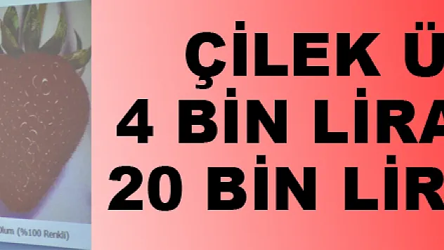 Çilek üreticisi 4 bin lira harcadı, 20 bin lira kazandı 