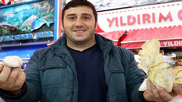 Bu mantarı tadan, diğerlerine elini sürmüyor 