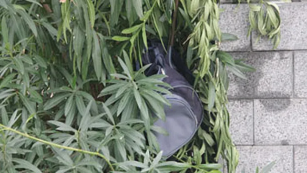 Şüpheli valiz paniği