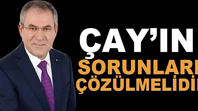 ÇAY'IN SORUNLARI ÇÖZÜLMELİDİR