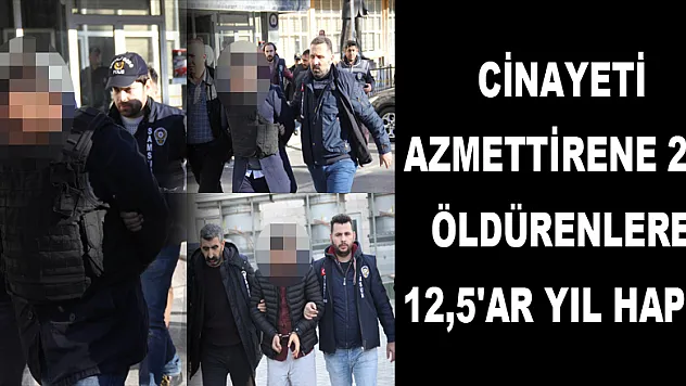 Cinayeti azmettirene 25, öldürenlere 12,5'ar yıl hapis 