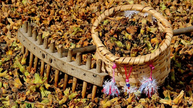  'Alan bazlı destek sıladakine verilmeli'  