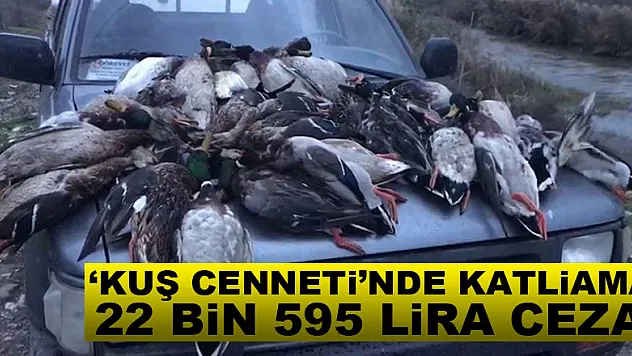 'Kuş Cenneti'nde katliama 22 bin 595 lira ceza