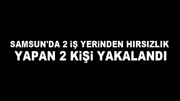 Samsun'da 2 iş yerinden hırsızlık yapan 2 kişi yakalandı