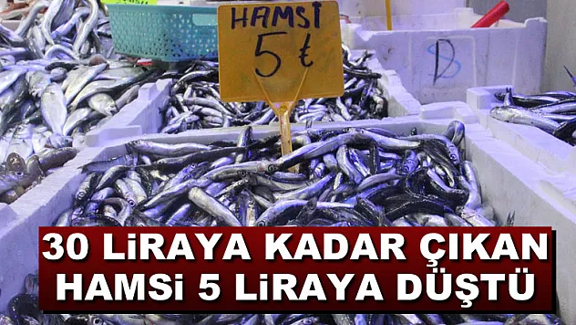 30 liraya kadar çıkan hamsi 5 liraya düştü
