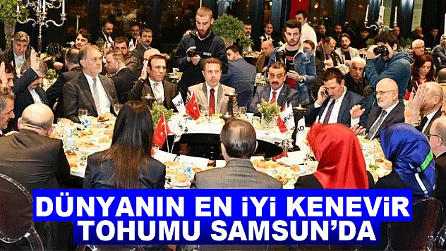 Dünyanın en iyi kenevir tohumu Samsun'da