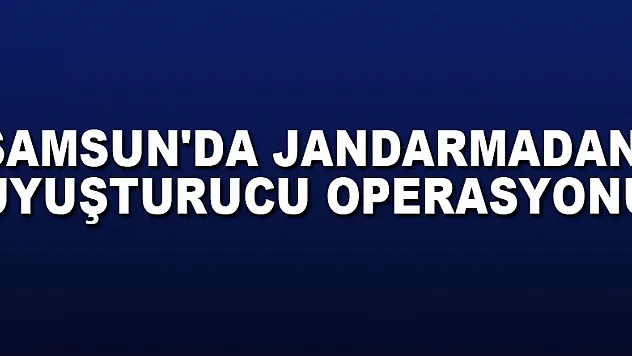 Samsun'da jandarmadan uyuşturucu operasyonu: 16 gözaltı