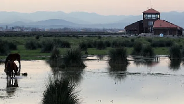 Başkan Şahin'den 'Kuş Cenneti' açıklaması