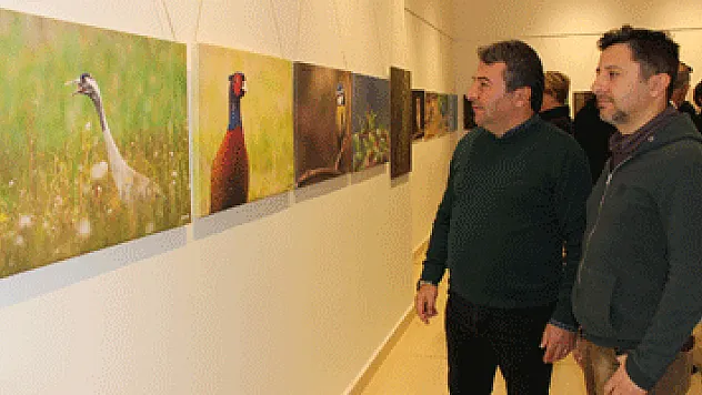 Deltadan objektiflere yansıyanlar