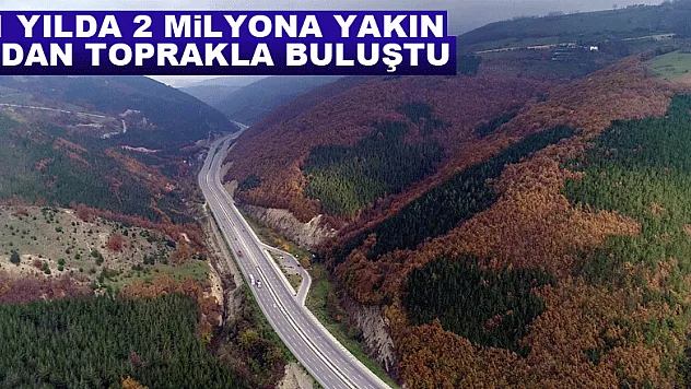 1 yılda 2 milyona yakın fidan toprakla buluştu