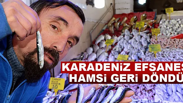 Karadeniz efsanesi hamsi geri döndü