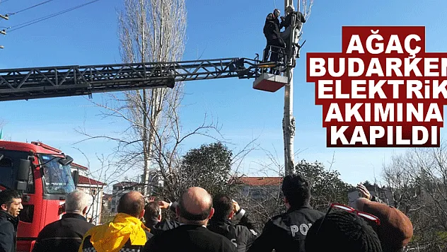 Ağaç budarken elektrik akımına kapıldı