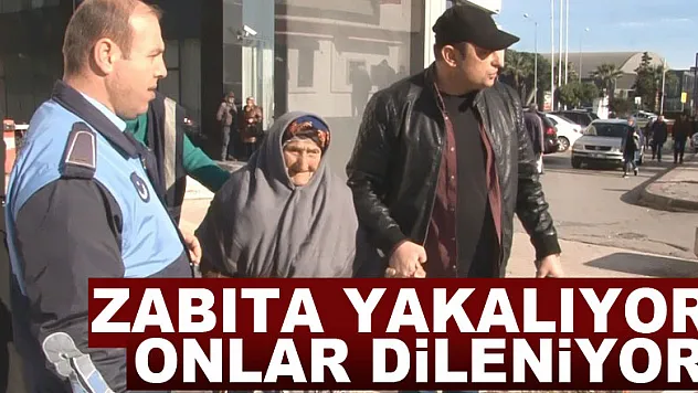 Zabıta yakalıyor, onlar dileniyor