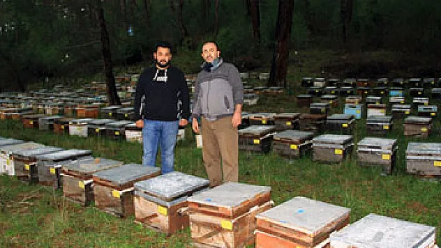 Yağışlar bal üreticisini sevindirdi
