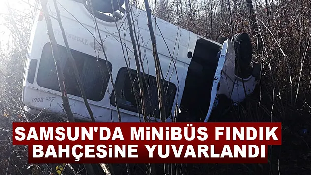 Samsun'da minibüs fındık bahçesine yuvarlandı: 2 yaralı