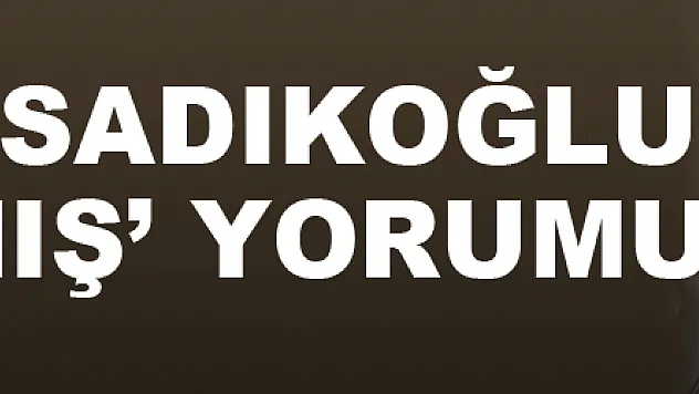 Tarihçi Sadıkoğlu 'Sarıkamış' yorumu !