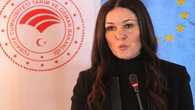 TKDK'den 250 milyon euroluk hibe desteği