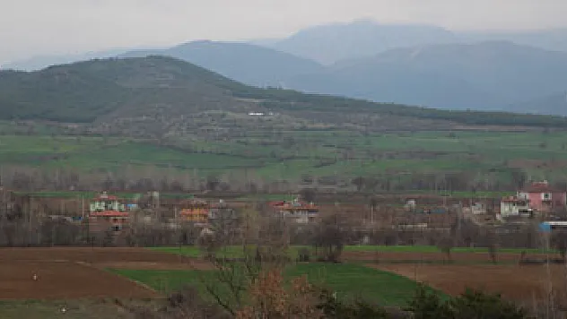 Türkiye'nin kenevir üretim merkezi seçilen ilçede arazilere talep arttı