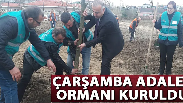 ÇARŞAMBA ADALET ORMANI KURULDU