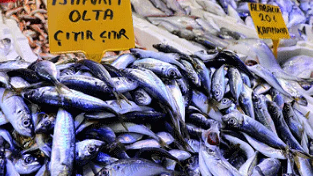 Sezonun son balıkları yerini kültür balıklarına bırakıyor