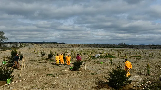 1919 fidanla '100 Yıl Kurtuluş Ormanı' oluşturuldu
