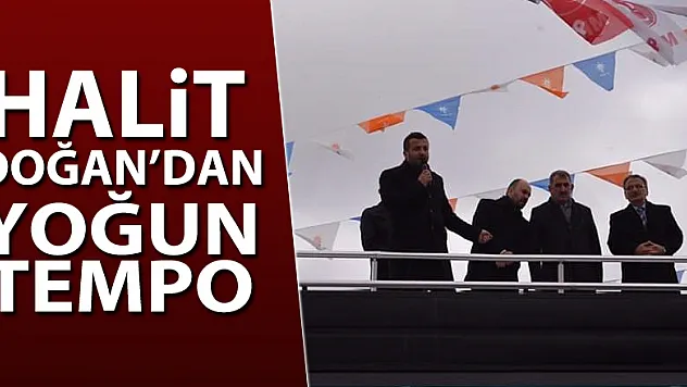 HALİT DOĞAN'DAN YOĞUN TEMPO