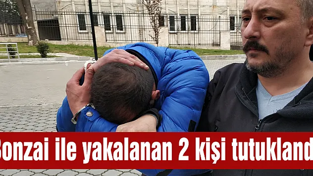 41 paket bonzai ile yakalanan 2 kişi tutuklandı 