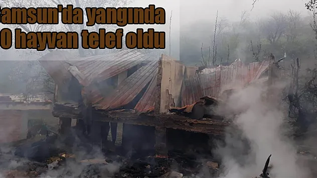 Samsun'da yangında 30 hayvan telef oldu