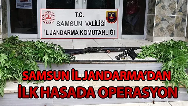 Samsun İl Jandarma'dan ilk hasada operasyon