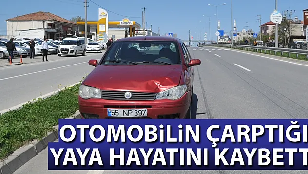 Otomobilin çarptığı yaya hayatını kaybetti