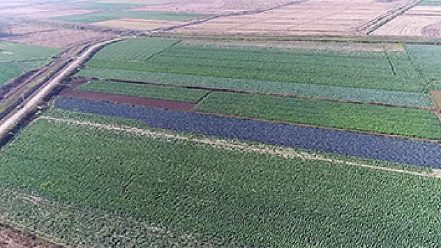 Kırsaldan kente göçü önlemek için üreticiye destek