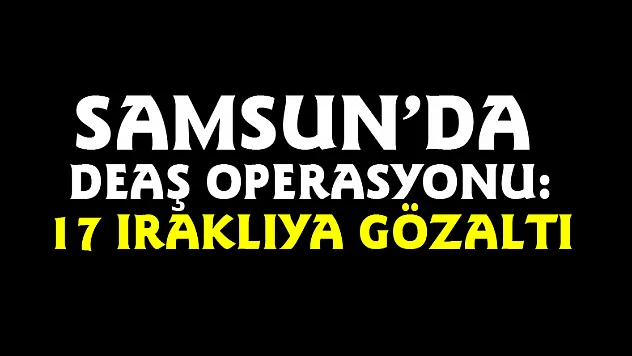 Samsun'da DEAŞ operasyonu: 17 Iraklıya gözaltı