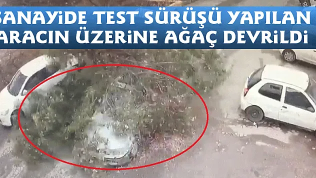 Sanayide test sürüşü yapılan aracın üzerine ağaç devrildi