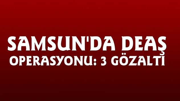 Samsun'da DEAŞ operasyonu: 3 gözaltı