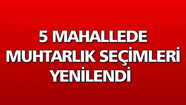 5 mahallede muhtarlık seçimleri yenilendi 