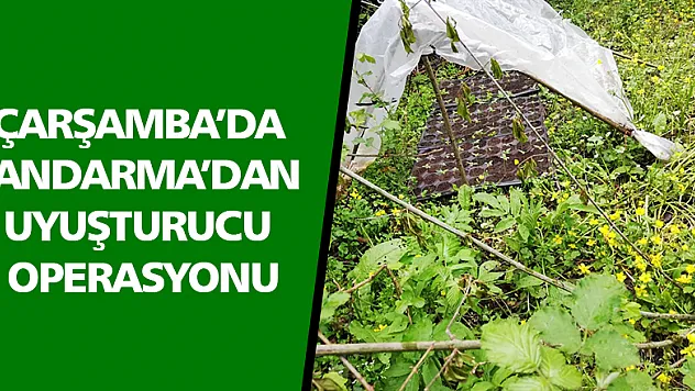 Jandarmadan uyuşturucu operasyonu 