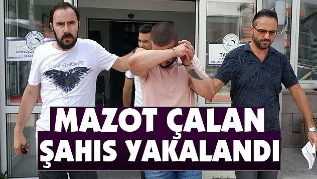 Mazot çalan şahıs yakalandı