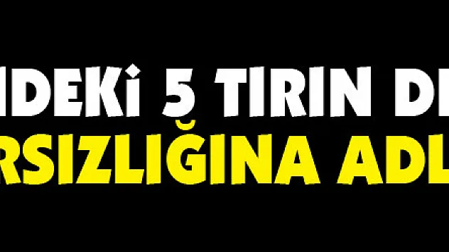 Park halindeki 5 tırın deposundan mazot hırsızlığına adli kontrol