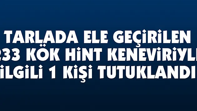 Tarlada ele geçirilen 233 kök Hint keneviriyle ilgili 1 kişi tutuklandı