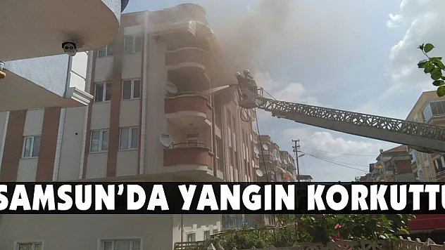 Samsun'da yangın korkuttu