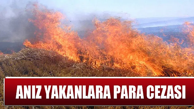 Anız yakanlara her dekar için 60 lira para cezası    