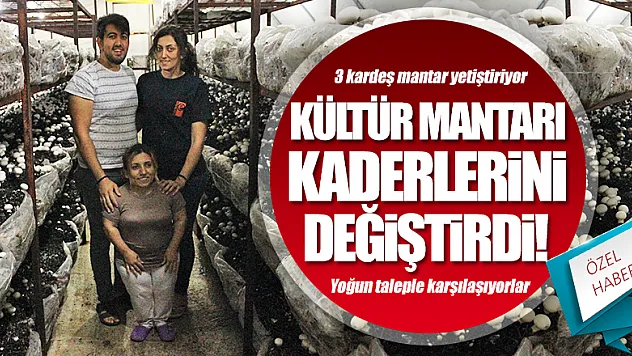 Kültür mantarı kaderlerini değiştirdi 