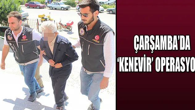 Çarşamba'da 'kenevir' operasyonu 