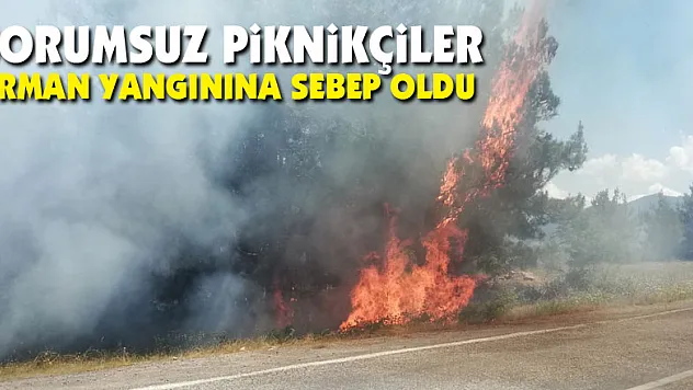 Sorumsuz piknikçiler orman yangınına sebep oldu
