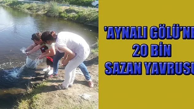 'Aynalı Gölü'ne 20 bin sazan yavrusu 