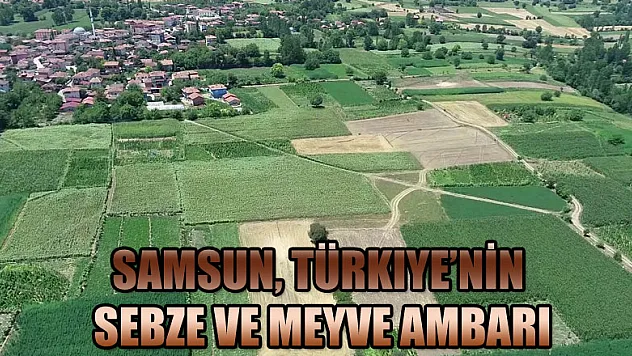 Samsun, Türkiye'nin sebze ve meyve ambarı  