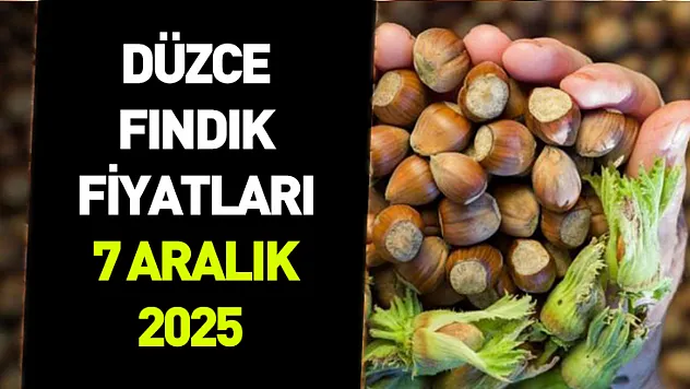 7 Aralık 2025 Düzce Fındık Fiyatı | Piyasa Dengeli Seyrini Koruyor