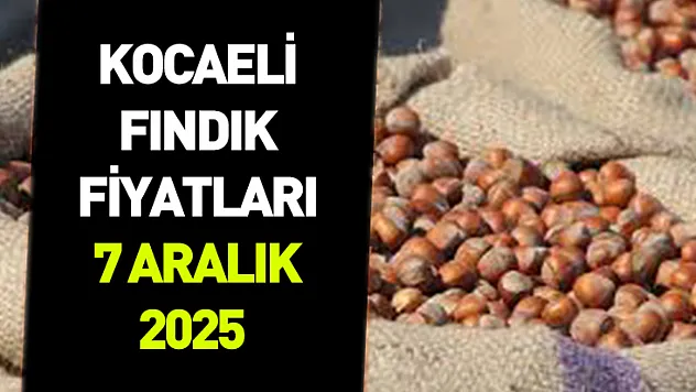 7 Aralık 2025 Kocaeli Fındık Fiyatları | Piyasa Üst Bantta Seyrini Koruyor