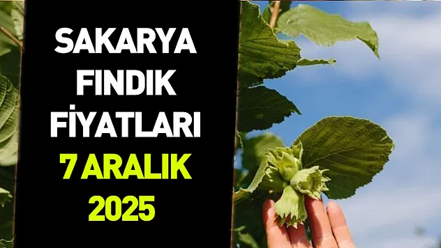 7 Aralık 2025 Sakarya Fındık Fiyatı | Piyasa Dar Bantta İlerliyor